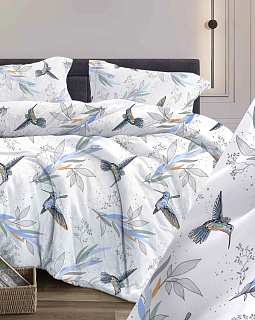 Постельное белье бязь набивная 120г/м2, Колибри