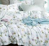 Постельное белье поплин набивной 110г/м2, 6913