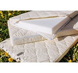 Матрас (наполнитель: холкон, 2,2кг/м2; чехол: глоссатин), расцветка ассорти